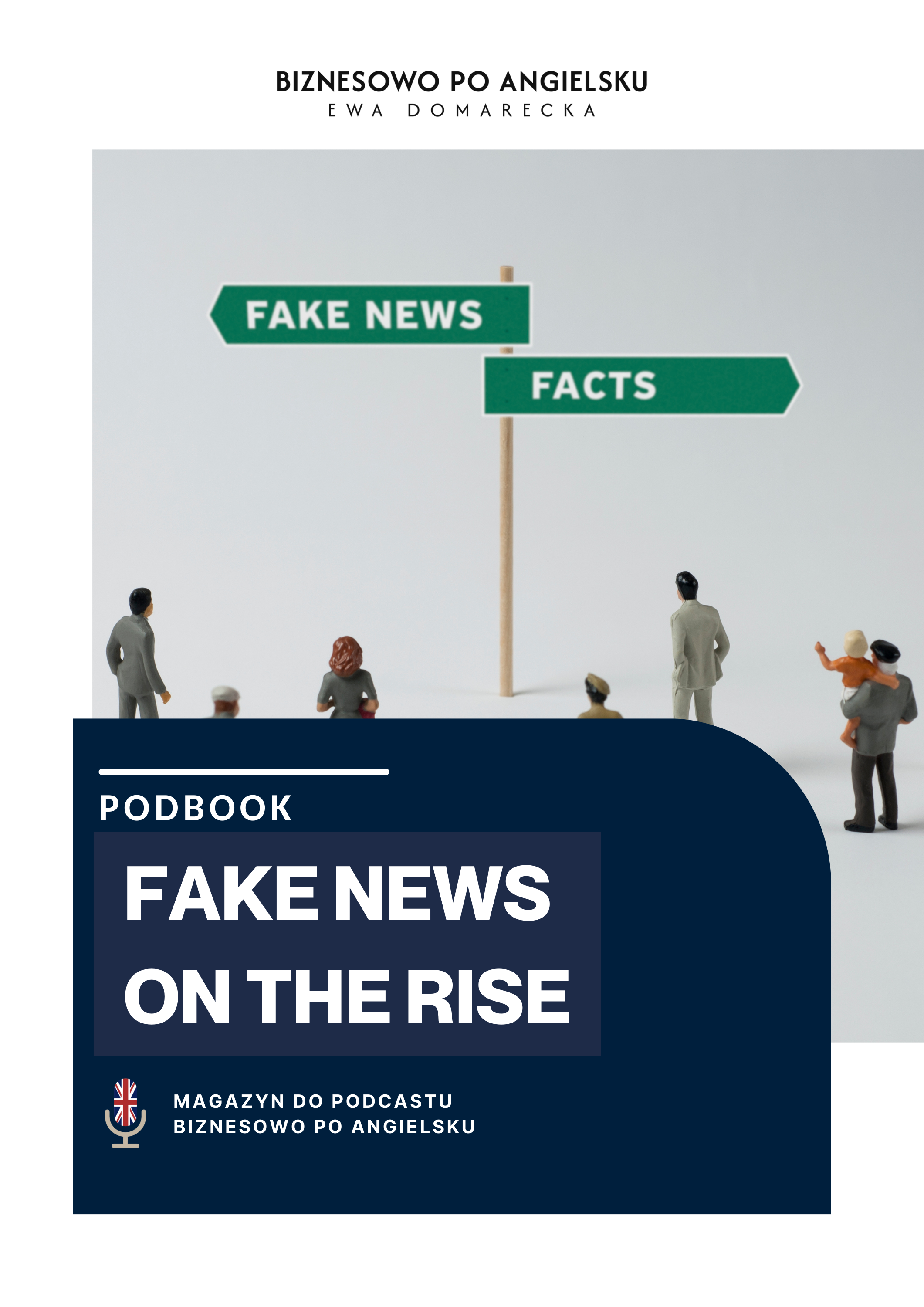 Okładka Fake News on the rise